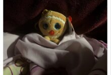 CCEE雨果跨境展选品：丑到爆红出圈！一款圣诞玩具海外遭疯抢_CCEE雨果跨境展